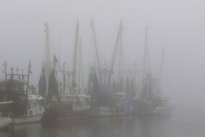 EE5A8248 Shem Creek Foggy Fleet.jpg