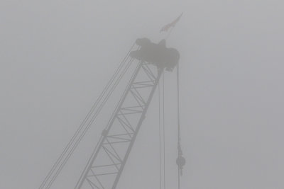 EE5A8276 Foggy crane top.jpg