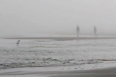 EE5A8294 Foggy beach scene.jpg