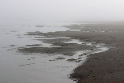 EE5A8307 Tidal pools.jpg