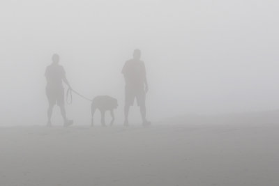 EE5A8313 Almost zero visibility.jpg