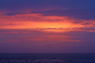IMG_0164 Purple glow.jpg