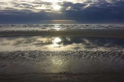 20151221_080525 IOP Tidal Pool.jpg