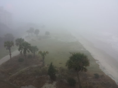 20151225_084725 Yes it is a very foggy Christmas.jpg