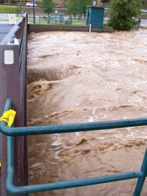 Flood flows under bridge - z IMG_1611 