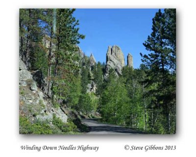 Winding Down Needles Highway