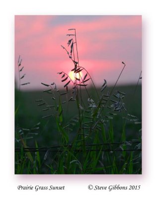 Prairie Grass Sunset