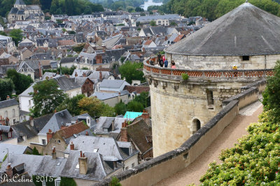 Chteau d'Amboise, Loire (LR-8869.jpg)