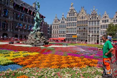 bloementapijt_grote_markt