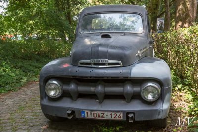 MV5D1950.jpg