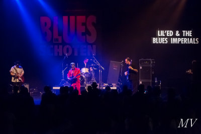 lil__ed_and_the_blues_imperials