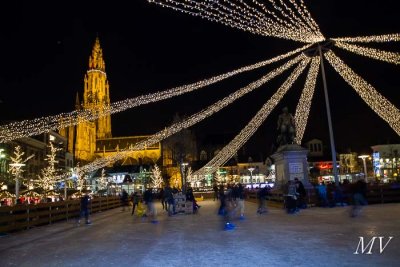 IMG_1461.jpg