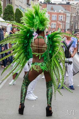 IMG_1943.jpg