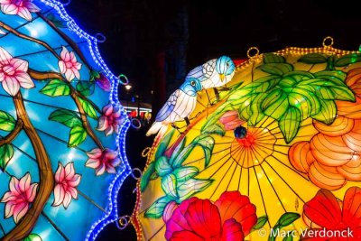 China light 