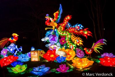 China light 
