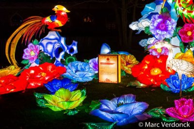 China light 