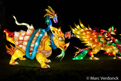 China light 