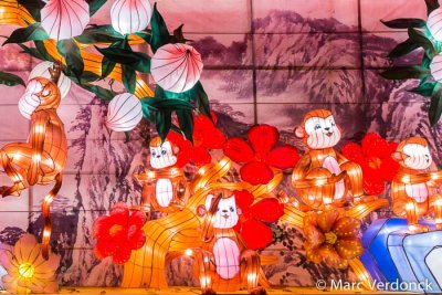 China light 