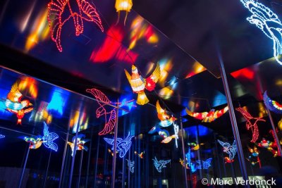 China light 