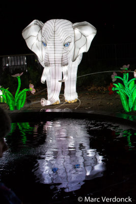 China light 
