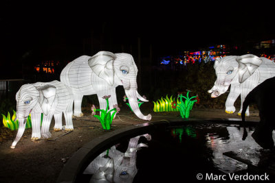 China light 