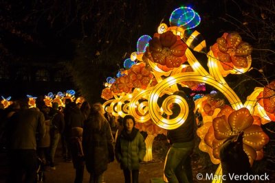 China light 