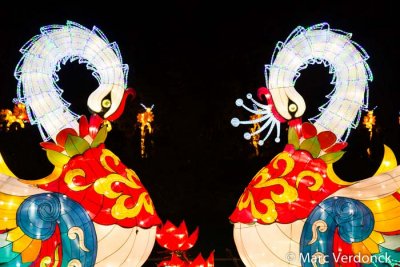 China light 