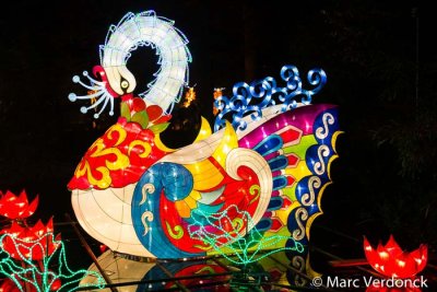China light 