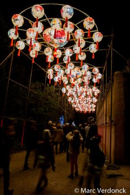 China light 