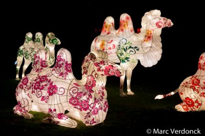 China light 