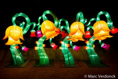 China light 