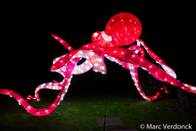 China light 