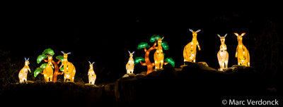 China light 