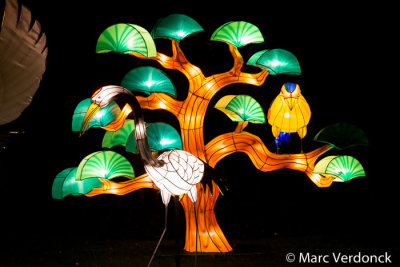 China light 
