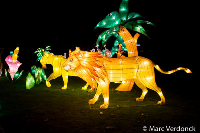 China light 