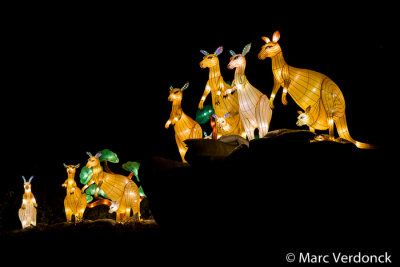 China light 