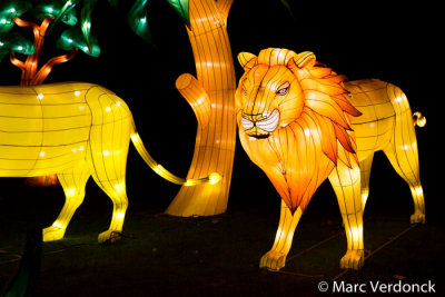 China light 