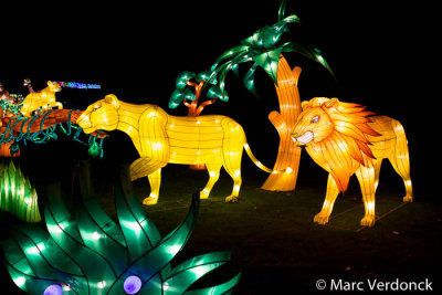 China light 