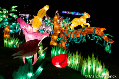 China light 