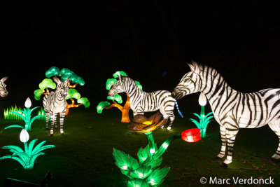 China light 