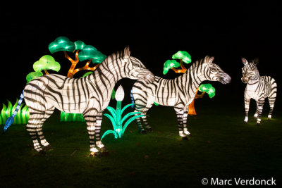 China light 