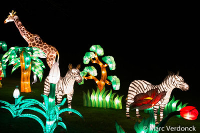 China light 