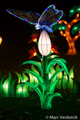 China light 
