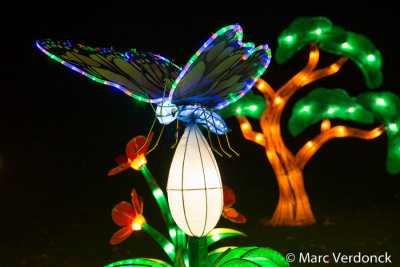 China light 