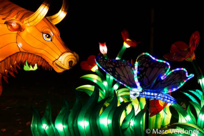 China light 