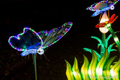 China light 