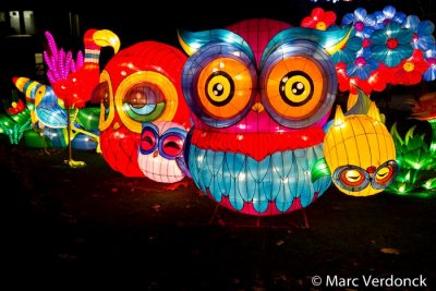 China light 