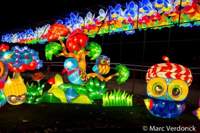 China light 