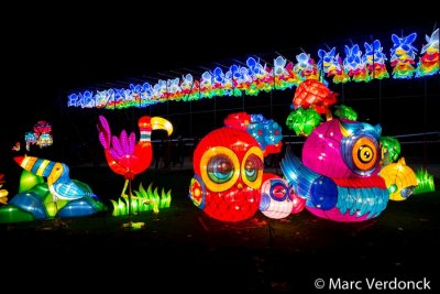 China light 