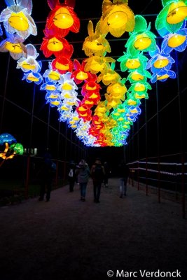 China light 